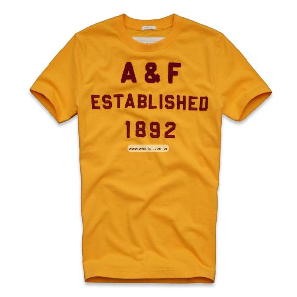 CAMISETA ABERCROMBIE & FITCH