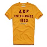 CAMISETA ABERCROMBIE & FITCH