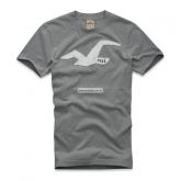 CAMISETA HOLLISTER