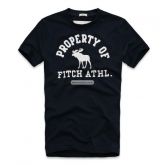 CAMISETA ABERCROMBIE & FITCH