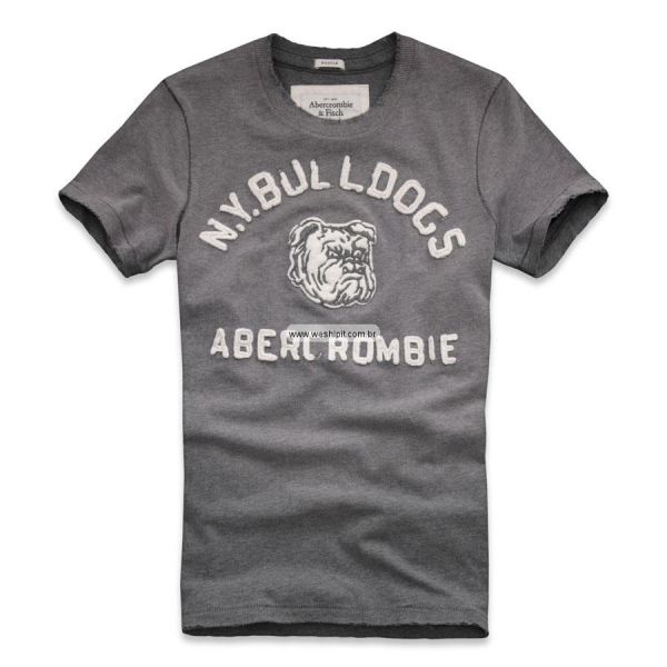 CAMISETA ABERCROMBIE & FITCH